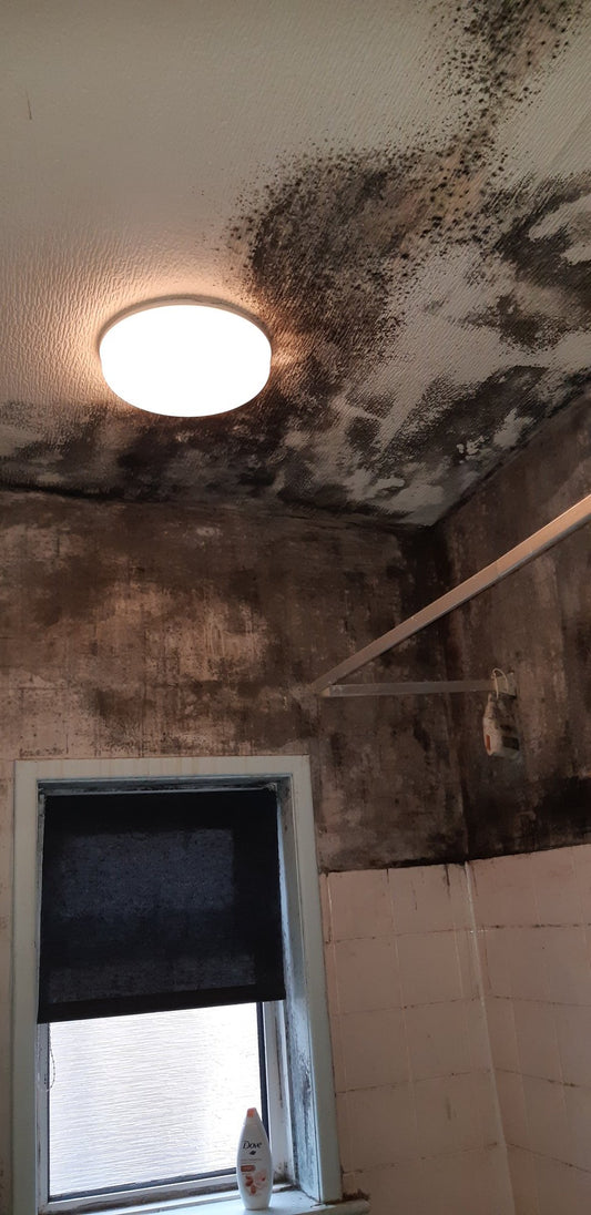 BADEZIMMER RENOVIERUNG